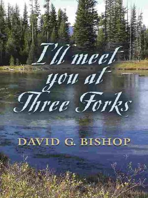 cover image of I'LL MEET YOU AT THREE FORKS